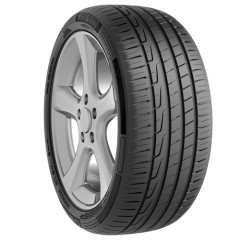 Milestone CarMile Sport 205/55 R17 95W Reinf. Yaz Lastiği - 2025